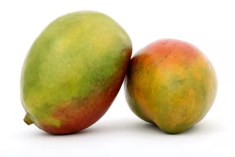 lody o smaku mango