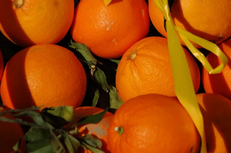 Słodka pomarańcza - nowy smak lodów Alaska 3